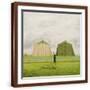Brown Frame