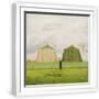 White Frame