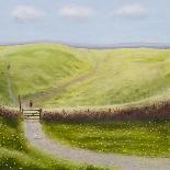 The Spring Path-Chris Ross Williamson-Giclee Print