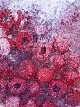 Frozen Raspberries-Chris Sch?fer-Stretched Canvas