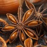 Star Anise-Chris Schäfer-Photographic Print