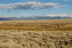 View of sagebrush prairie habitat, with distant mountain range, Walden, Colorado-Chris & Tilde Stuart-Stretched Canvas