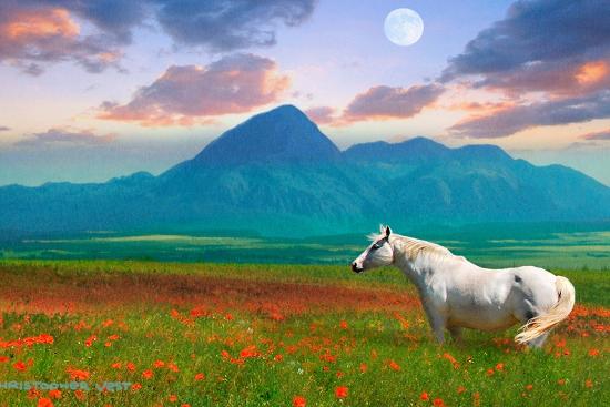 Photographic Print, , large