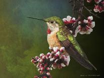 Prothonotary Warbler-Chris Vest-Art Print
