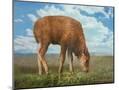 Wood Mount