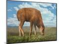 Wood Mount