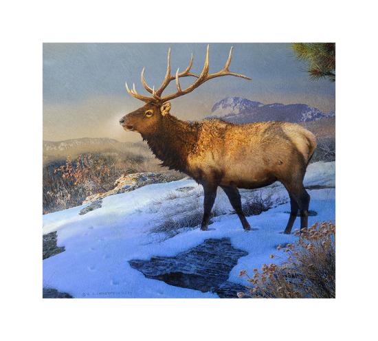 Giclee Print, , large
