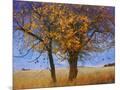 Wood Mount