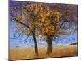 Wood Mount