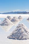 Cactus – Salar De Uyuni-chrishowey-Framed Photographic Print