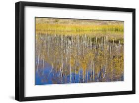 Chriss Lake-Don Paulson-Framed Giclee Print