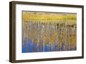 Chriss Lake-Don Paulson-Framed Giclee Print