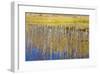 Chriss Lake-Don Paulson-Framed Giclee Print