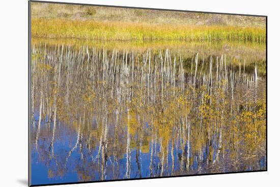 Chriss Lake-Don Paulson-Mounted Giclee Print