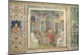 Christ among the Doctors in the Temple-Giotto di Bondone-Mounted Art Print