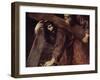 Christ and Simon the Cyrenian-Titian (Tiziano Vecelli)-Framed Giclee Print