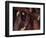 Christ and Simon the Cyrenian-Titian (Tiziano Vecelli)-Framed Giclee Print