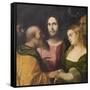 Christ and the Adulteress, 1525-28-Jacopo Palma-Framed Stretched Canvas