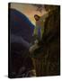Christ and the Lost Sheep-Ralph Coleman-Stretched Canvas