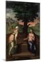 Christ and the Samaritan Woman-Marcello Venusti-Mounted Giclee Print