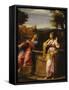 Christ and the Woman of Samaria at the Well-Francesco Albani-Framed Stretched Canvas