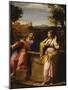 Christ and the Woman of Samaria at the Well-Francesco Albani-Mounted Giclee Print