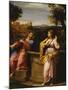 Christ and the Woman of Samaria at the Well-Francesco Albani-Mounted Giclee Print