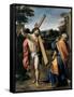 Christ Appearing to Saint Peter-Agostino Carracci-Framed Stretched Canvas