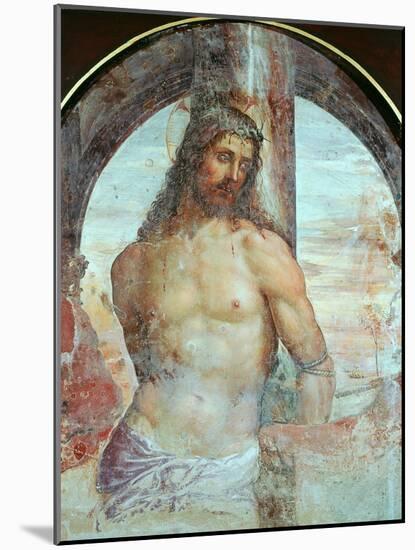 Christ at the Column, C.1514-Giovanni Antonio Bazzi Sodoma-Mounted Giclee Print