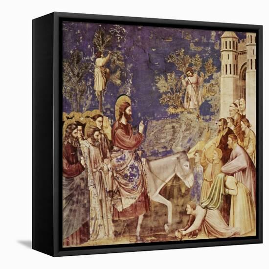 Christ at the Gates of Jerusalem-Giotto di Bondone-Framed Stretched Canvas