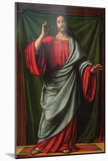 Christ Blessing-Andrea Solario-Mounted Art Print