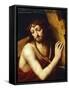 Christ Carrying Cross-Bernardino Luini-Framed Stretched Canvas