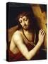 Christ Carrying Cross-Bernardino Luini-Stretched Canvas