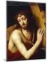 Christ Carrying Cross-Bernardino Luini-Mounted Giclee Print