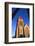 Christ Church Cathedral and Whalebone Arch-Eleanor-Framed Photographic Print