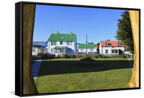 Christ Church Cathedral Green and Houses-Eleanor-Framed Stretched Canvas