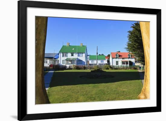 Christ Church Cathedral Green and Houses-Eleanor-Framed Photographic Print