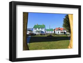 Christ Church Cathedral Green and Houses-Eleanor-Framed Photographic Print