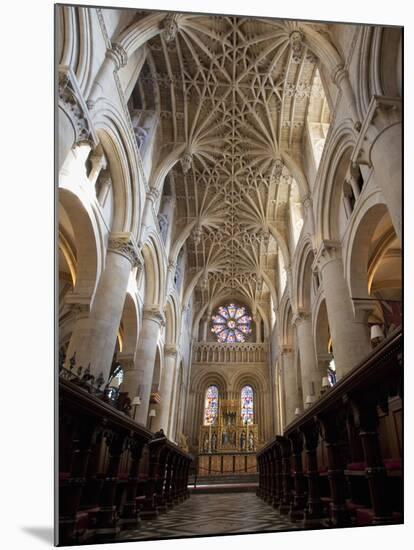 Christ Church Cathedral Interior, Oxford University, Oxford, England-Peter Barritt-Mounted Photographic Print