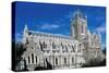 Christ Church Cathedral-null-Stretched Canvas