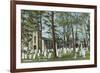 Christ Church Graveyard, Cooperstown-null-Framed Art Print