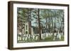 Christ Church Graveyard, Cooperstown-null-Framed Art Print