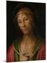Christ Crowned with Thorns, C. 1505-Perugino-Mounted Giclee Print