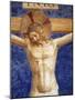 Christ Crucified. Inscription INRI on the Cross, Detail (Fresco)-Fra (c 1387-1455) Angelico-Mounted Giclee Print