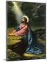 Christ in Gethsemane-null-Mounted Giclee Print