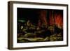 Christ in Limbo-Hieronymus Bosch-Framed Giclee Print