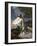 Christ in the Garden of Gethsemane by Heinrich Hofmann, 1930S-Heinrich Hofmann-Framed Giclee Print