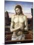 Christ in the Tomb, 1460-Giovanni Bellini-Mounted Giclee Print