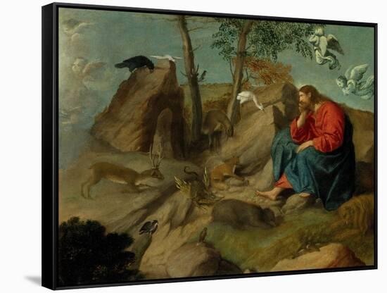 Christ in the Wilderness, c.1515-20-Moretto da Brescia-Framed Stretched Canvas