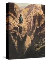 Christ in the Wilderness-Jack Hayes-Stretched Canvas